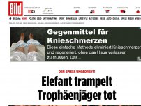 Bild zum Artikel: Den Spieß umgedreht! - Elefant trampelt Trophäenjäger tot