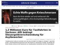 Bild zum Artikel: 1,2 Millionen Euro für Taxifahrten in Sachsen: AfD beklagt Steuergeldverschwendung für Asylbewerber