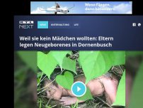 Bild zum Artikel: Weil sie kein Mädchen wollten: Eltern legen Neugeborenes in Dornenbusch