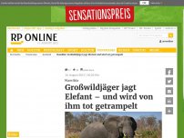 Bild zum Artikel: Namibia - Großwildjäger jagt Elefant – und wird von ihm tot getrampelt