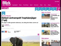 Bild zum Artikel: Karma in Namibia: Elefant zertrampelt Trophäenjäger (†46)