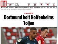 Bild zum Artikel: 5 Mio Ablöse! - Dortmund holt Hoffenheims Toljan