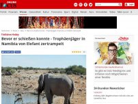 Bild zum Artikel: Tödliches Hobby - Bevor er schießen konnte - Trophäenjäger in Namibia von Elefant zertrampelt