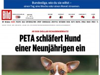 Bild zum Artikel: 49 000 Dollar Schadensersatz - PETA schläfert Hund einer Neunjährigen ein