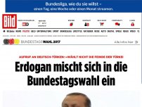Bild zum Artikel: Bundestagswahl - Erdogan ruft Deutsch-Türken zu Wahlboykott auf