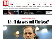 Bild zum Artikel: SPORT BILD berichtet - Tuchel soll neuer Chelsea-Trainer werden