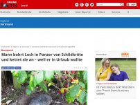 Bild zum Artikel: Dortmund - Mann bohrt Loch in Panzer von Schildkröte und kettet sie an – weil er in Urlaub wollte