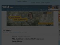 Bild zum Artikel: Wahlkampf in Rheinland-Pfalz: AfD-Politiker verteilen Pfefferspray an Jugendliche