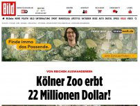 Bild zum Artikel: Von reichen Auswanderern - Kölner Zoo erbt 22 Millionen Dollar!