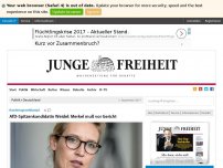 Bild zum Artikel: AfD-Spitzenkandidatin Weidel: Merkel muß vor Gericht