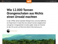 Bild zum Artikel: Wie 12.000 Tonnen Orangenschallen aus Nichts einen Urwald machten