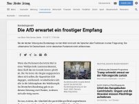 Bild zum Artikel: Bundestagswahl: Die AfD erwartet ein frostiger Empfang