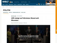 Bild zum Artikel: Insa-Umfrage: AfD steigt nach TV-Duell auf höchsten Stand seit Monaten