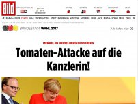 Bild zum Artikel: Merkel beworfen - Tomaten-Attacke auf die Kanzlerin!