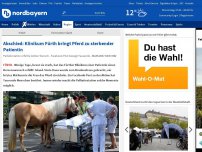 Bild zum Artikel: Abschied: Klinikum Fürth bringt Pferd zu sterbender Patientin