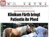 Bild zum Artikel: Letzter Wunsch - Klinikum Fürth bringt Patientin ihr Pferd