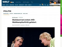 Bild zum Artikel: Pforzheim: Steinbach bei erstem AfD-Wahlkampfauftritt gefeiert