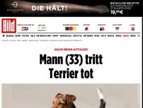 Bild zum Artikel: Nach Beiß-Attacke - Mann (33) tritt Terrier tot