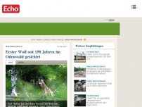 Bild zum Artikel: Erster Wolf seit 150 Jahren im Odenwald gesichtet