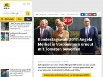 Bild zum Artikel: Bundestagswahl 2017: Angela Merkel in Vorpommern erneut mit Tomaten beworfen