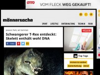 Bild zum Artikel: Schwangerer T-Rex entdeckt: Skelett enthält wohl DNA | Männersache