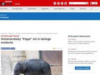 Bild zum Artikel: Im Hamburger Tierpark - Elefantenbaby 'Püppi' tot in Gehege entdeckt