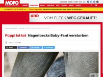 Bild zum Artikel: Püppi ist tot: Hagenbecks Baby-Fant verstorben
