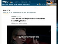 Bild zum Artikel: Putzfrau: Alice Weidel soll Asylbewerberin schwarz beschäftigt haben