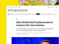 Bild zum Artikel: AfD: Alice Weidel ließ Asylbewerberin schwarz für sich arbeiten