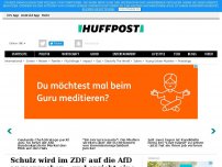 Bild zum Artikel: Schulz wird im ZDF auf die AfD angesprochen - und spricht eine eindeutige Drohung aus