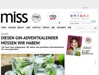 Bild zum Artikel: Gin Tonic: Diesen Gin-Adventkalender müssen wir haben!