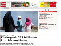 Bild zum Artikel: Kindergeld: 257 Millionen  für Ausländer