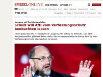 Bild zum Artikel: Umgang mit Rechtspopulisten: Schulz will AfD vom Verfassungsschutz beobachten lassen