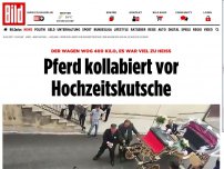 Bild zum Artikel: 400 kg, es war viel zu heiß - Pferd kollabiert vor Hochzeitskutsche