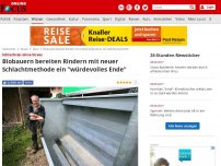 Bild zum Artikel: Schlachten ohne Stress - Biobauern bereiten Rindern mit neuer Schlachtmethode ein 'würdevolles Ende'