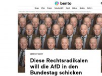 Bild zum Artikel: 29 Rechtsradikale könnten im Bundestag sitzen, wenn die AfD über 10 Prozent kommt