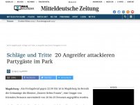 Bild zum Artikel: Schläge und Tritte: 20 Angreifer attackieren Partygäste im Park