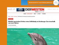 Bild zum Artikel: Plötzlicher Tod! Delfinbaby im Duisburger Zoo gestorben