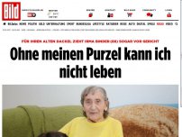 Bild zum Artikel: Rentnerin sagt - Ohne Purzel kann ich nicht leben