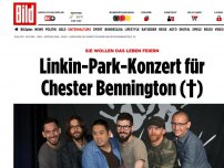 Bild zum Artikel: Sie wollen das Leben feiern - Linkin-Park-Konzert für Chester Bennington (†)