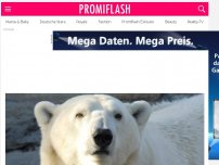 Bild zum Artikel: Eisbär Lars (†23) ist tot: Knuts Papa wurde eingeschläfert!