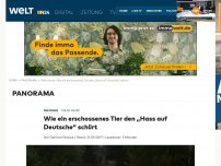 Bild zum Artikel: Polen sauer: Wie ein erschossenes Tier den 'Hass auf Deutsche' schürt