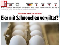 Bild zum Artikel: Rückruf bei Penny, Aldi und Rewe - Eier mit Salmonellen vergiftet?