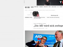 Bild zum Artikel: Forsa-Chef Manfred Güllner: „Die AfD wird sich zerlegen“