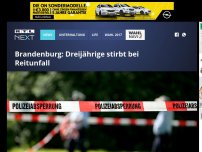 Bild zum Artikel: Brandenburg: Vierjährige stirbt bei Reitunfall