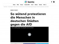 Bild zum Artikel: So wütend protestieren die Menschen gegen die AfD-Wahlparty in Berlin