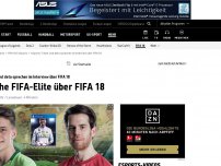 Bild zum Artikel: Deutsche eSports-Elite über FIFA 18
