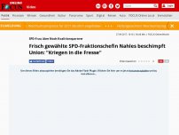 Bild zum Artikel: SPD-Frau über Noch-Koalitionspartner - „Kriegen in die Fresse“: Frisch gewählte SPD-Fraktionschefin Nahles beschimpft Union