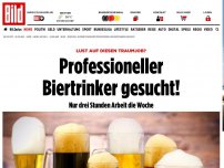 Bild zum Artikel: Lust auf diesen Traumjob? - Professioneller Biertrinker gesucht!
