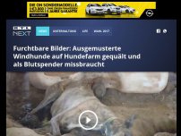 Bild zum Artikel: Furchtbare Bilder: Ausgemusterte Windhunde auf Hundefarm gequält und als Blutspender missbraucht